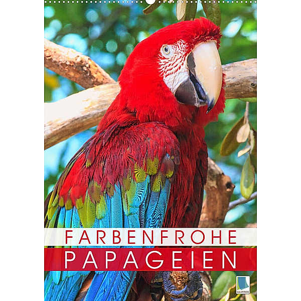 Farbenfrohe Papageien (Wandkalender 2023 DIN A2 hoch), Calvendo