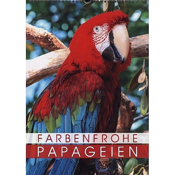 Farbenfrohe Papageien (Wandkalender 2023 DIN A3 hoch), Calvendo