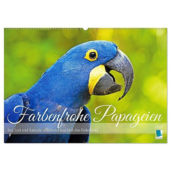 Farbenfrohe Papageien (Wandkalender 2025 DIN A2 quer), CALVENDO Monatskalender, Calvendo