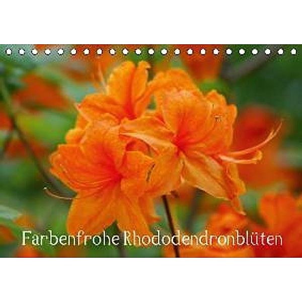Farbenfrohe Rhododendronblüten (Tischkalender 2015 DIN A5 quer), kattobello