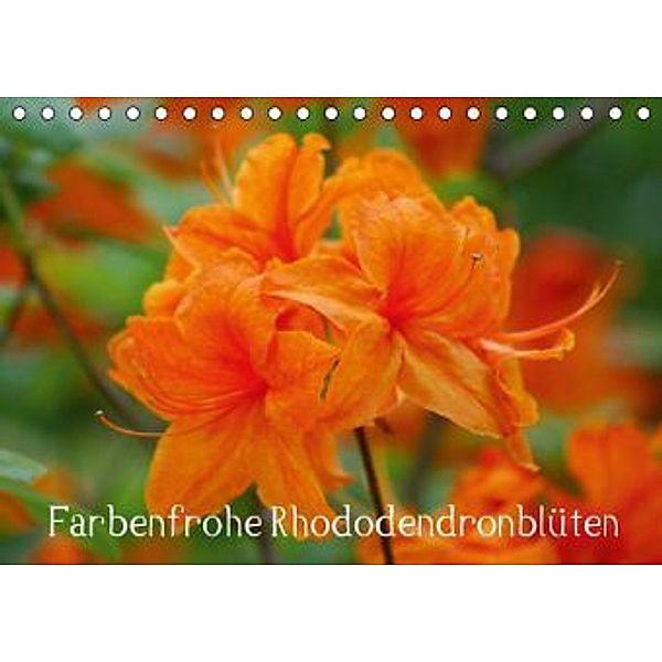 Farbenfrohe Rhododendronblüten (Tischkalender 2016 DIN A5 quer), Kattobello