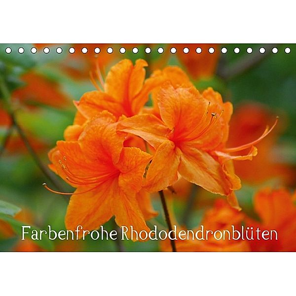 Farbenfrohe Rhododendronblüten (Tischkalender 2018 DIN A5 quer), Kattobello