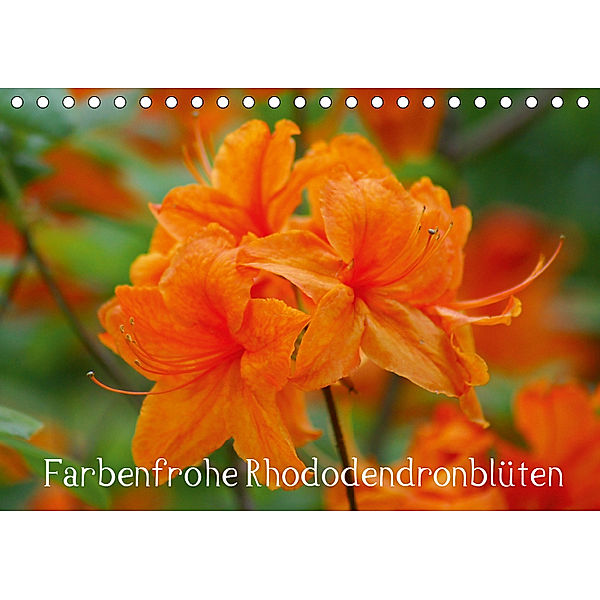 Farbenfrohe Rhododendronblüten (Tischkalender 2019 DIN A5 quer), Kattobello