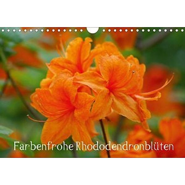 Farbenfrohe Rhododendronblüten (Wandkalender 2020 DIN A4 quer)