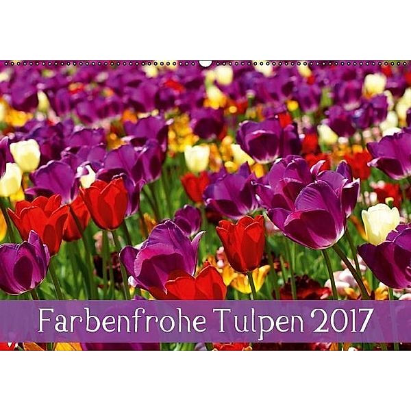 Farbenfrohe Tulpen 2017 (Wandkalender 2017 DIN A2 quer), Klaus Vartzbed