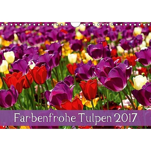 Farbenfrohe Tulpen 2017 (Wandkalender 2017 DIN A4 quer), Klaus Vartzbed