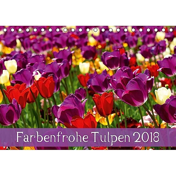 Farbenfrohe Tulpen 2018 (Tischkalender 2018 DIN A5 quer), Klaus Vartzbed