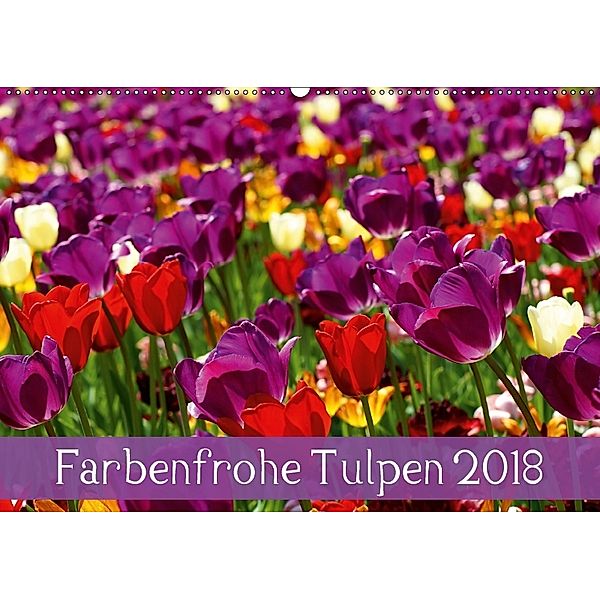 Farbenfrohe Tulpen 2018 (Wandkalender 2018 DIN A2 quer), Klaus Vartzbed