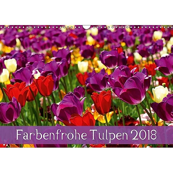 Farbenfrohe Tulpen 2018 (Wandkalender 2018 DIN A3 quer), Klaus Vartzbed