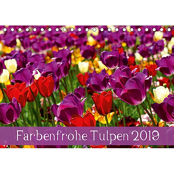 Farbenfrohe Tulpen 2019 (Tischkalender 2019 DIN A5 quer), Klaus Vartzbed
