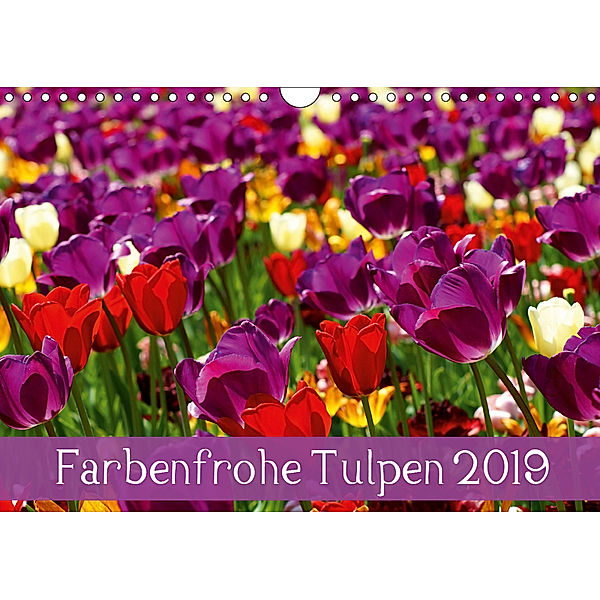 Farbenfrohe Tulpen 2019 (Wandkalender 2019 DIN A4 quer), Klaus Vartzbed