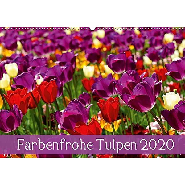 Farbenfrohe Tulpen 2020 (Wandkalender 2020 DIN A2 quer), Klaus Vartzbed