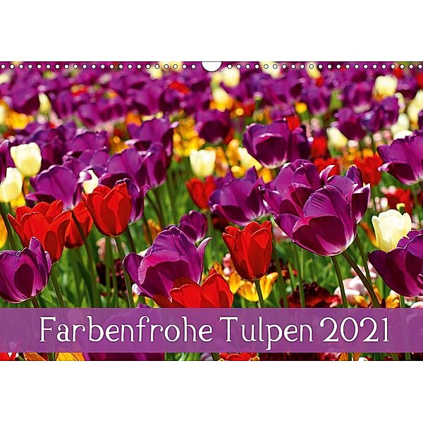 Farbenfrohe Tulpen 2021 (Wandkalender 2021 DIN A3 quer), Klaus Vartzbed