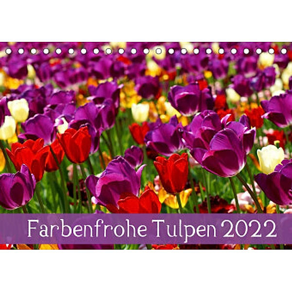 Farbenfrohe Tulpen 2022 (Tischkalender 2022 DIN A5 quer), Klaus Vartzbed