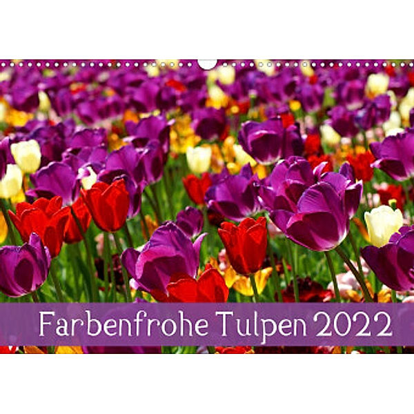 Farbenfrohe Tulpen 2022 (Wandkalender 2022 DIN A3 quer), Klaus Vartzbed