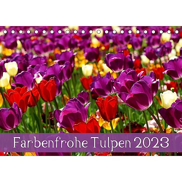 Farbenfrohe Tulpen 2023 (Tischkalender 2023 DIN A5 quer), Klaus Vartzbed