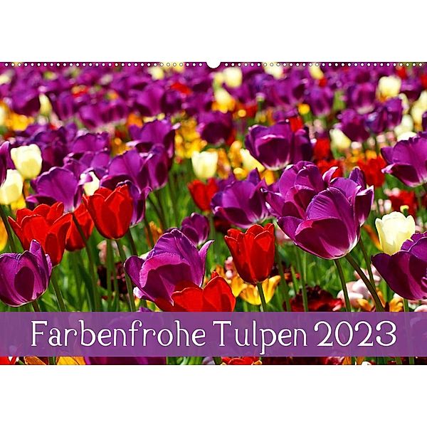 Farbenfrohe Tulpen 2023 (Wandkalender 2023 DIN A2 quer), Klaus Vartzbed