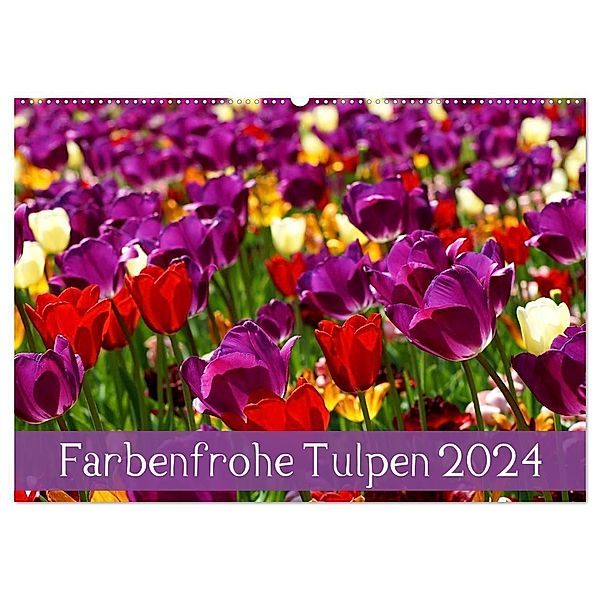 Farbenfrohe Tulpen 2024 (Wandkalender 2024 DIN A2 quer), CALVENDO Monatskalender, Klaus Vartzbed