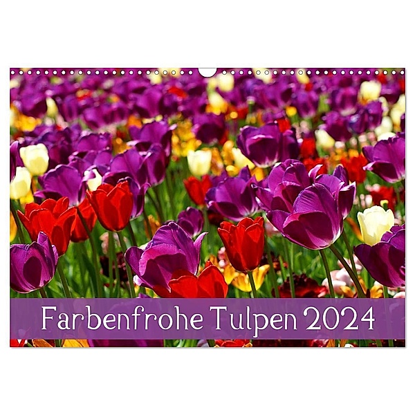 Farbenfrohe Tulpen 2024 (Wandkalender 2024 DIN A3 quer), CALVENDO Monatskalender, Klaus Vartzbed