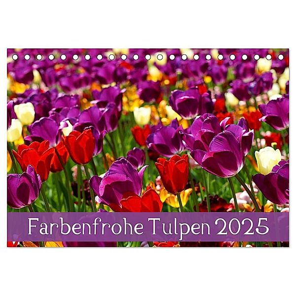 Farbenfrohe Tulpen 2025 (Tischkalender 2025 DIN A5 quer), CALVENDO Monatskalender, Calvendo, Klaus Vartzbed