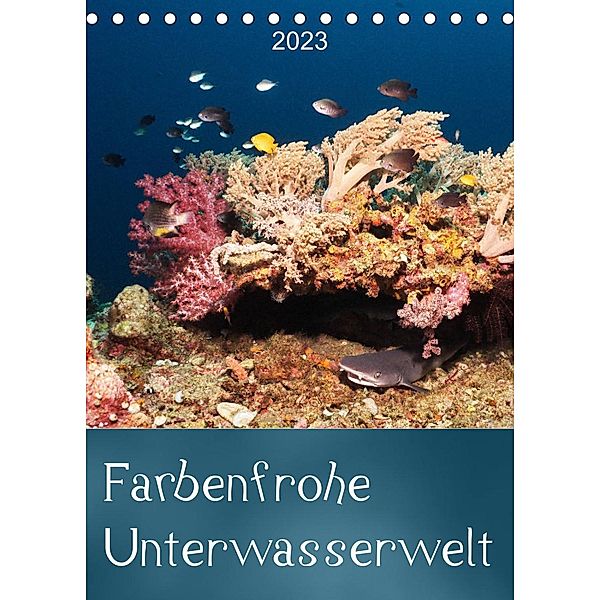 Farbenfrohe Unterwasserwelt (Tischkalender 2023 DIN A5 hoch), Bianca Schumann