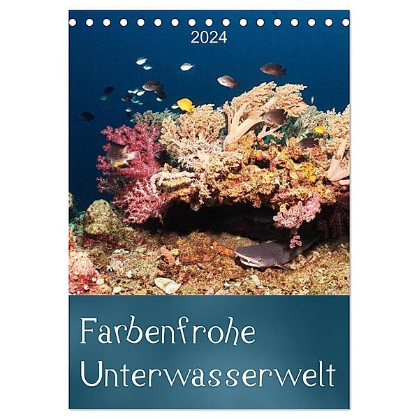 Farbenfrohe Unterwasserwelt (Tischkalender 2024 DIN A5 hoch), CALVENDO Monatskalender, Bianca Schumann