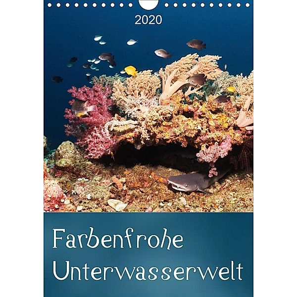 Farbenfrohe Unterwasserwelt (Wandkalender 2020 DIN A4 hoch), Bianca Schumann