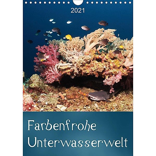 Farbenfrohe Unterwasserwelt (Wandkalender 2021 DIN A4 hoch), Bianca Schumann