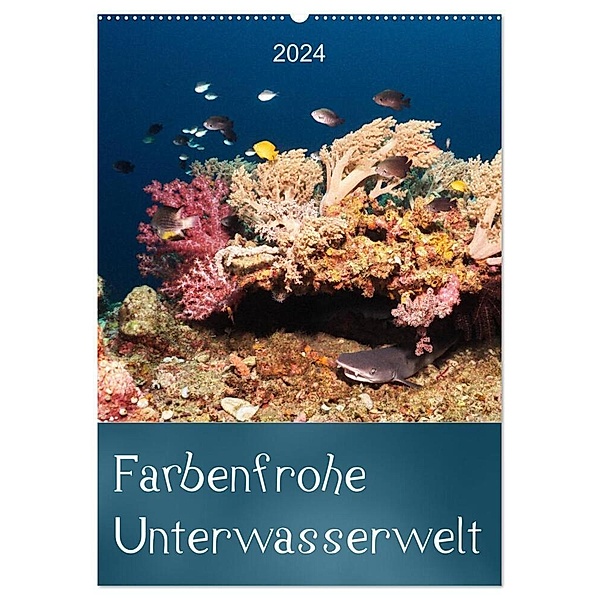 Farbenfrohe Unterwasserwelt (Wandkalender 2024 DIN A2 hoch), CALVENDO Monatskalender, Bianca Schumann