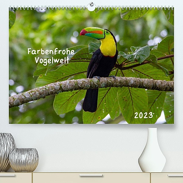 Farbenfrohe Vogelwelt (Premium, hochwertiger DIN A2 Wandkalender 2023, Kunstdruck in Hochglanz), Marion Springer