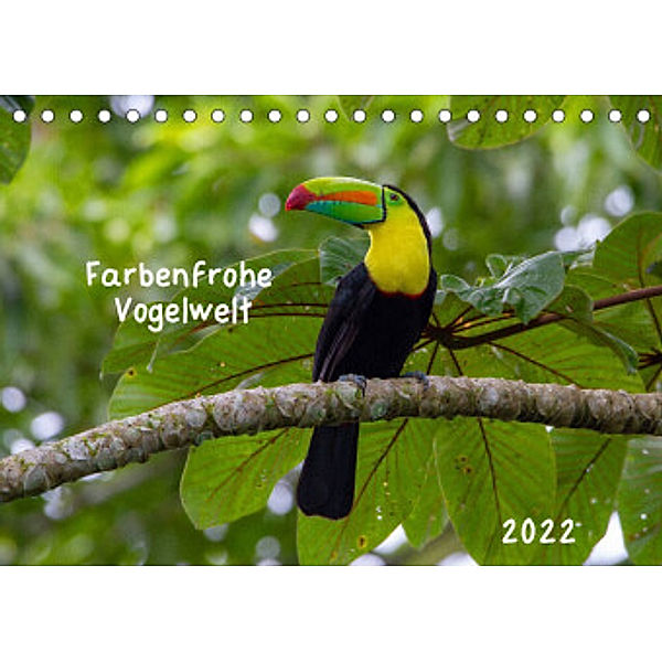 Farbenfrohe Vogelwelt (Tischkalender 2022 DIN A5 quer), Marion Springer