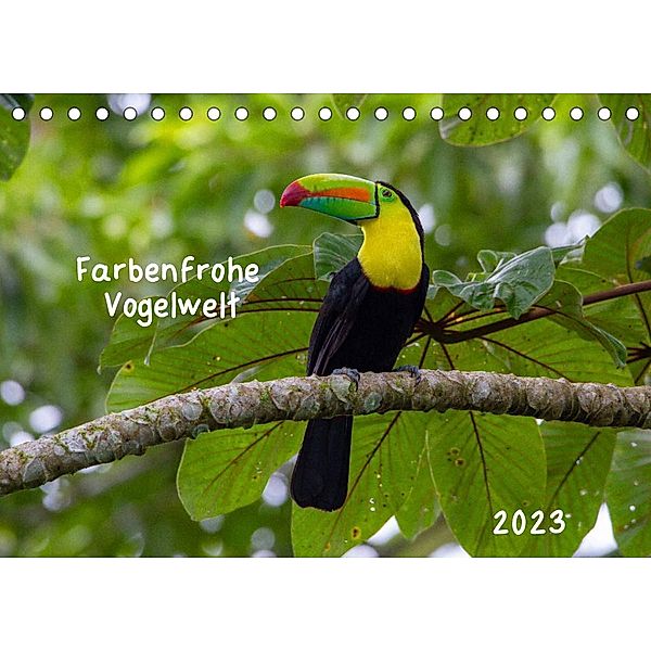 Farbenfrohe Vogelwelt (Tischkalender 2023 DIN A5 quer), Marion Springer