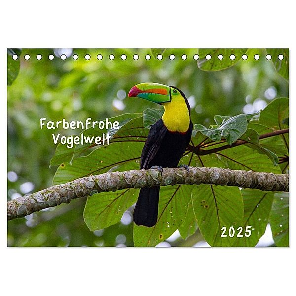 Farbenfrohe Vogelwelt (Tischkalender 2025 DIN A5 quer), CALVENDO Monatskalender, Calvendo, Marion Springer
