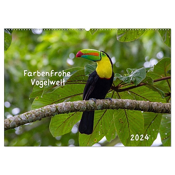 Farbenfrohe Vogelwelt (Wandkalender 2024 DIN A2 quer), CALVENDO Monatskalender, Marion Springer