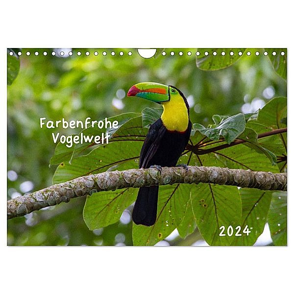 Farbenfrohe Vogelwelt (Wandkalender 2024 DIN A4 quer), CALVENDO Monatskalender, Marion Springer