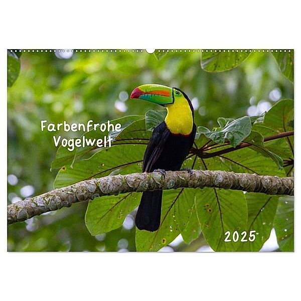 Farbenfrohe Vogelwelt (Wandkalender 2025 DIN A2 quer), CALVENDO Monatskalender, Calvendo, Marion Springer