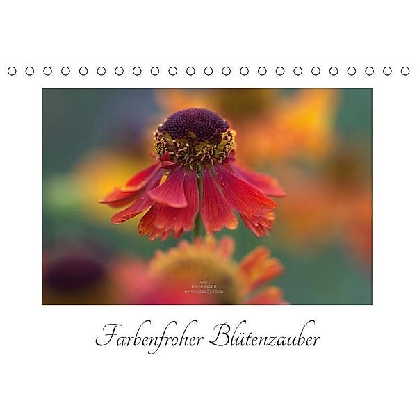 Farbenfroher Blütenzauber (Tischkalender 2017 DIN A5 quer), Ulrike Adam