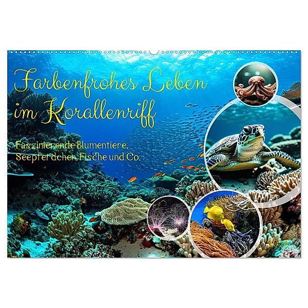 Farbenfrohes Leben im Korallenriff (Wandkalender 2025 DIN A2 quer), CALVENDO Monatskalender, Calvendo, Claudia Kleemann