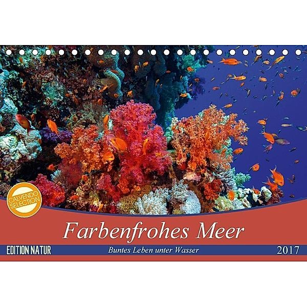 Farbenfrohes Meer (Tischkalender 2017 DIN A5 quer), Sven Gruse