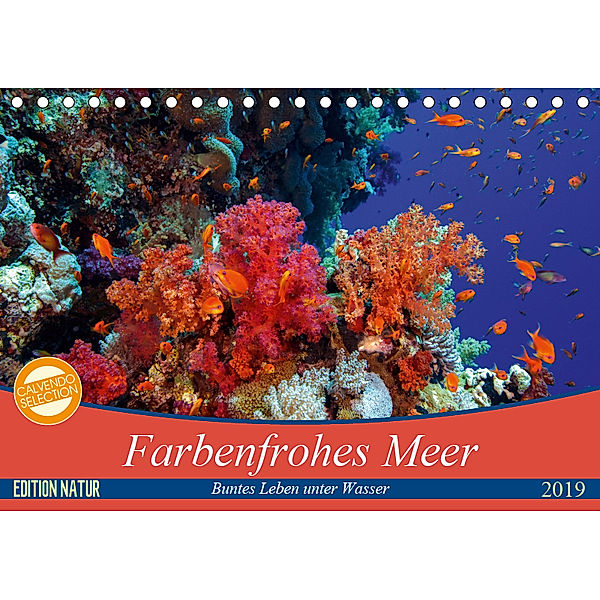 Farbenfrohes Meer (Tischkalender 2019 DIN A5 quer), Sven Gruse