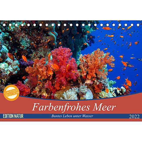 Farbenfrohes Meer (Tischkalender 2022 DIN A5 quer), Sven Gruse