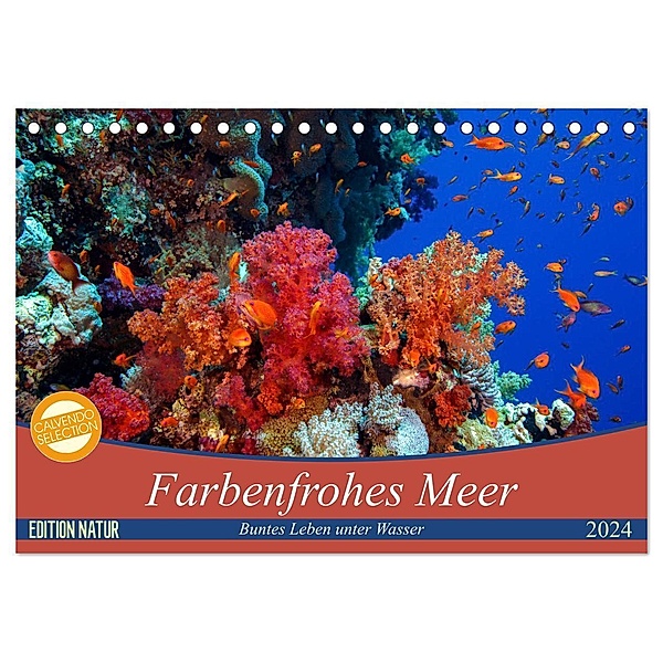 Farbenfrohes Meer (Tischkalender 2024 DIN A5 quer), CALVENDO Monatskalender, Sven Gruse