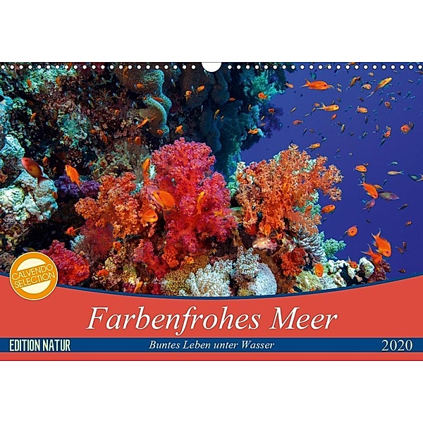 Farbenfrohes Meer (Wandkalender 2020 DIN A3 quer), Sven Gruse