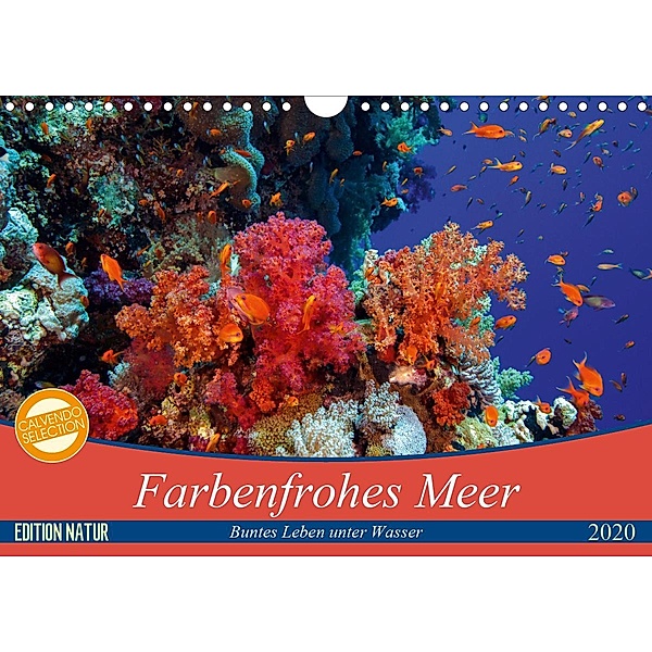 Farbenfrohes Meer (Wandkalender 2020 DIN A4 quer), Sven Gruse