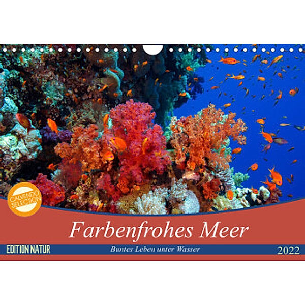 Farbenfrohes Meer (Wandkalender 2022 DIN A4 quer), Sven Gruse