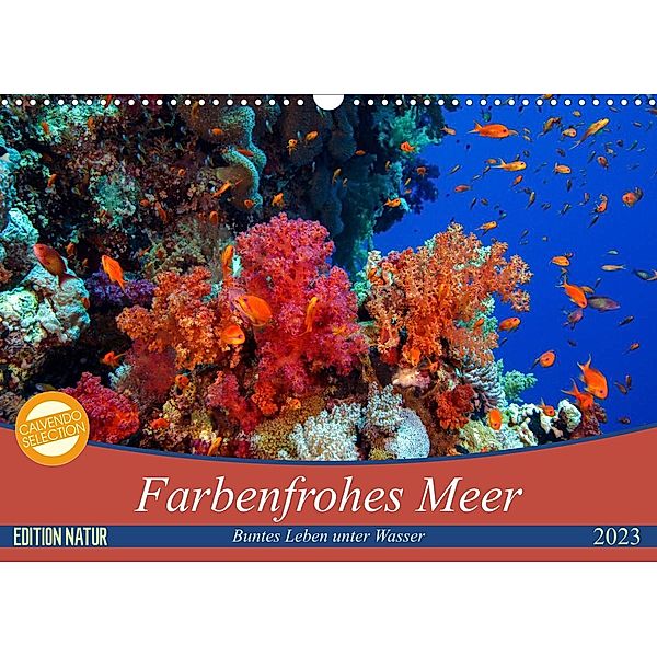 Farbenfrohes Meer (Wandkalender 2023 DIN A3 quer), Sven Gruse