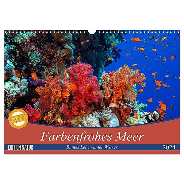 Farbenfrohes Meer (Wandkalender 2024 DIN A3 quer), CALVENDO Monatskalender, Sven Gruse