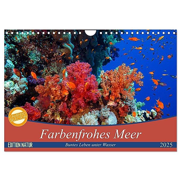 Farbenfrohes Meer (Wandkalender 2025 DIN A4 quer), CALVENDO Monatskalender, Calvendo, Sven Gruse