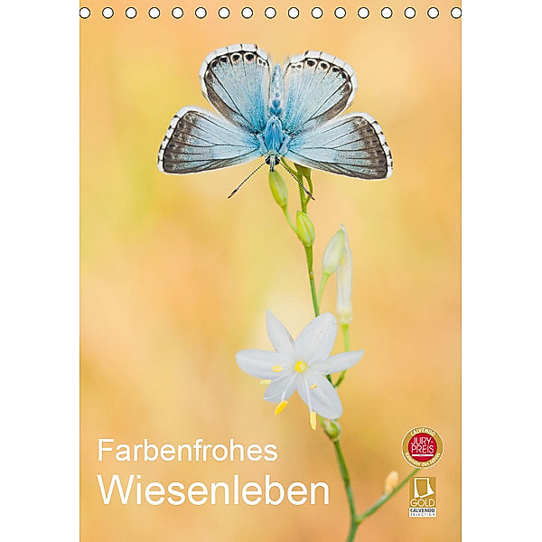 Farbenfrohes Wiesenleben (Tischkalender 2019 DIN A5 hoch), Perdita Petzl