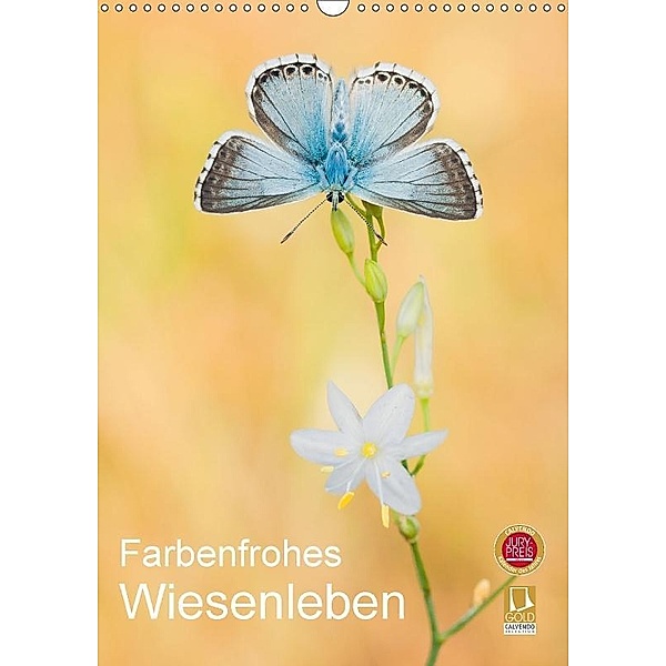 Farbenfrohes Wiesenleben (Wandkalender 2017 DIN A3 hoch), Perdita Petzl